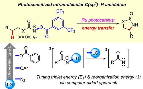 TOC graphic for Tuning Triplet Energy of Hydroxamates as the Nitrene Precursor for Intramolecular C(sp³)–H Amidation