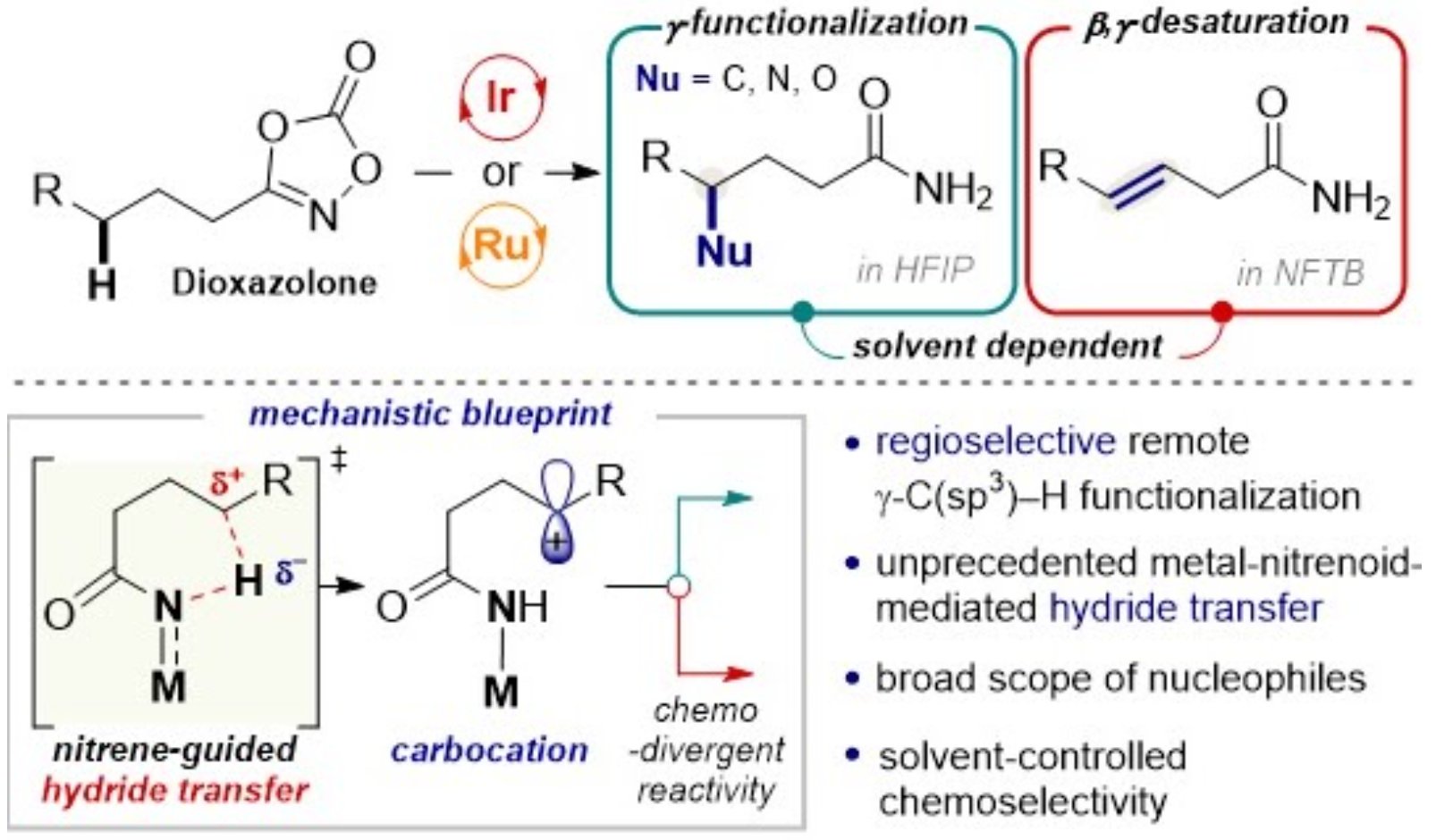 TOC graphic for A Formal γ-C–H Functionalization of Carboxylic Acids Guided by Iridium Nitrenoids as an Unprecedented Mechanistic Motif