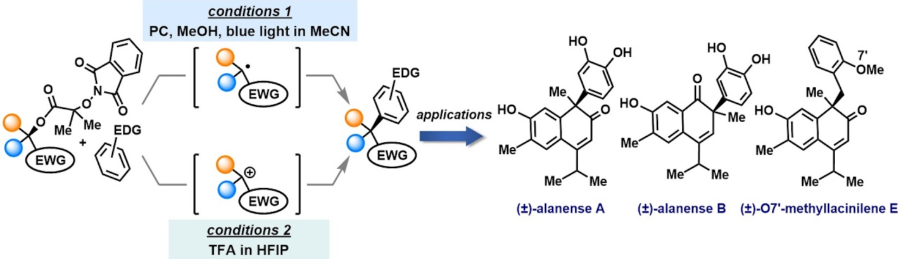 TOC graphic for α-N-Phthalimido-oxy Isobutyrate-Mediated Deoxygenative Arylation: Total Synthesis of Alanenses A and B