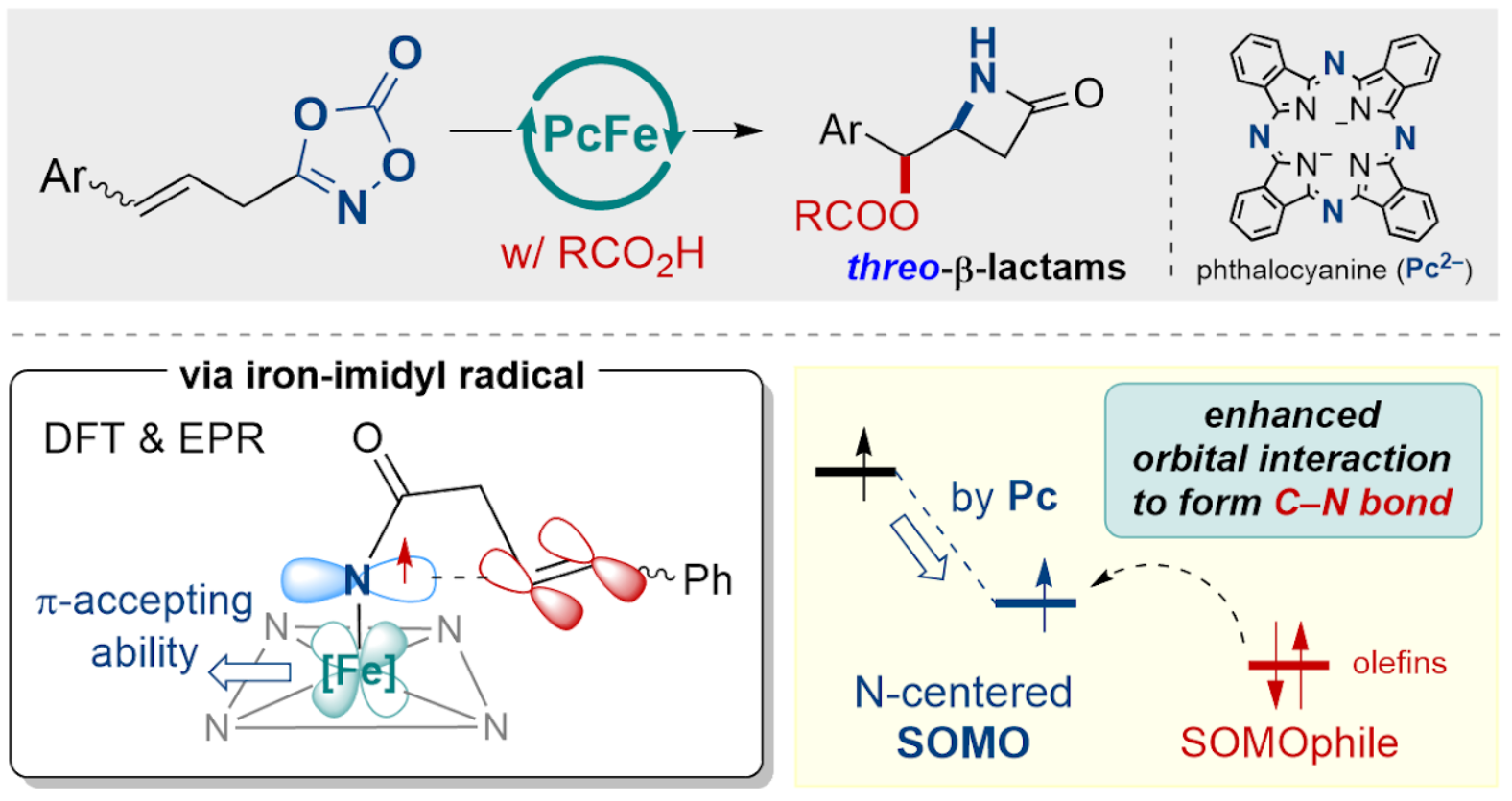 TOC graphic for Access to β-Lactams via Iron-Catalyzed Olefin Oxyamidation Enabled by π-Accepting Phthalocyanine Ligand