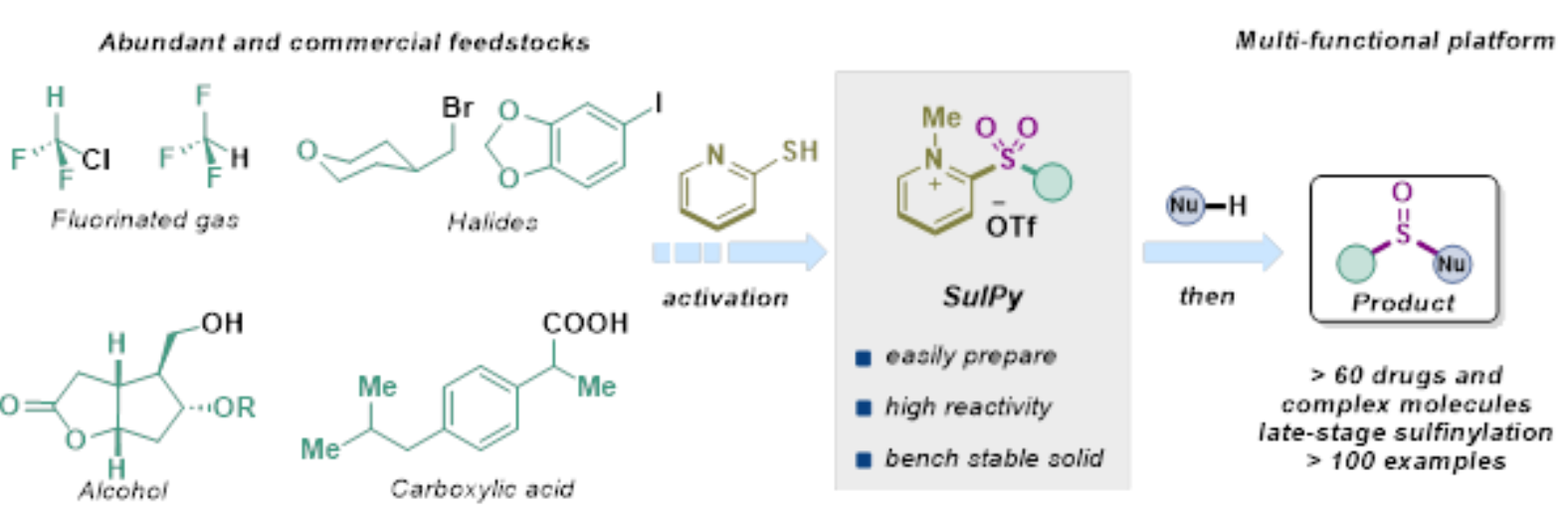 TOC graphic for Nucleophilic Reductive Sulfinylation by Chain Isomerization of Pyridinium Sulfonylpyridinium