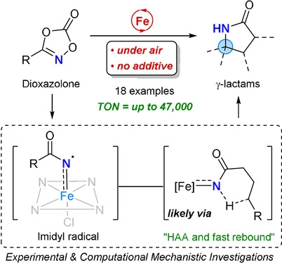 TOC graphic for Highly Robust Iron Catalyst System for C(sp³)–H Amidation Leading to γ-Lactams