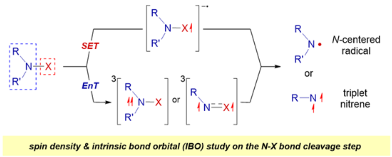 TOC graphic for Mechanistic Evaluations of Photocatalytic Access to N-Centered Radicals and Nitrenoids