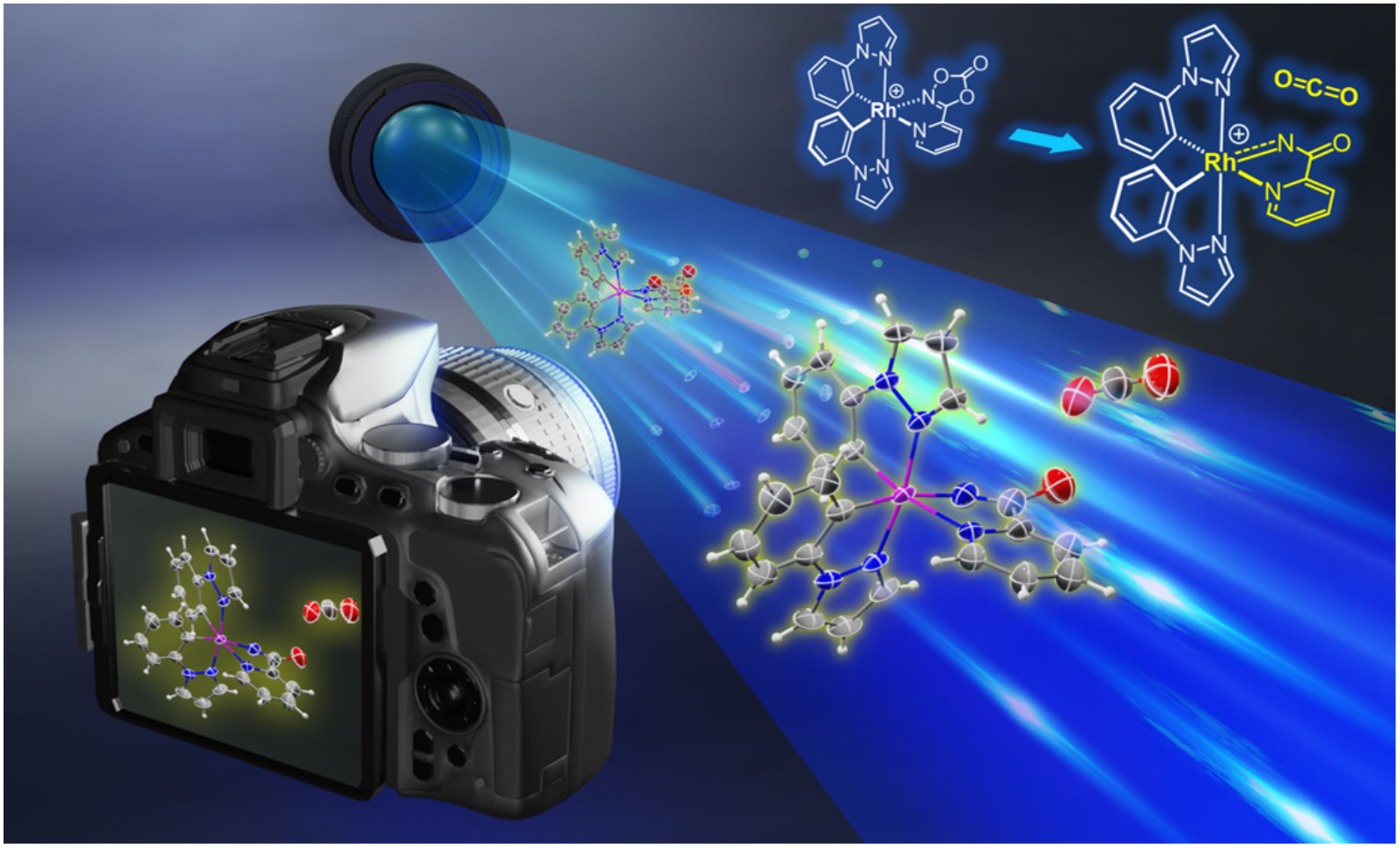 TOC graphic for Mechanistic Snapshots of Rhodium-Catalyzed Acylnitrene Transfer Reactions