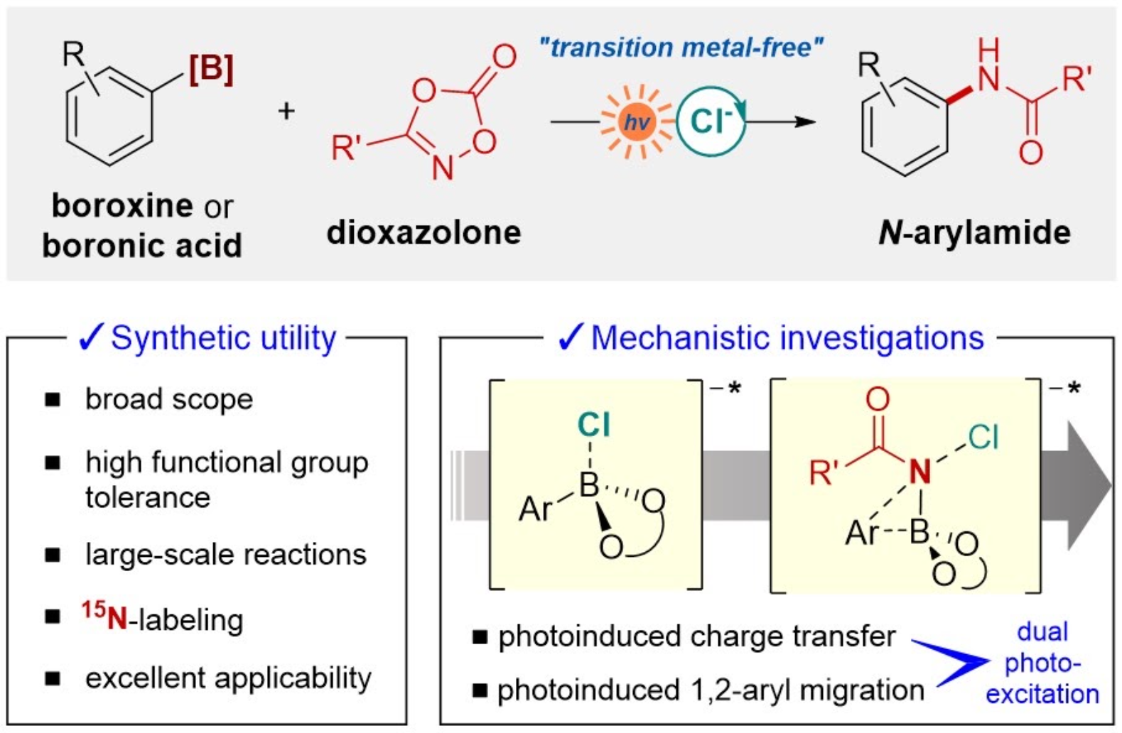 TOC graphic for Photoinduced Transition Metal-Free Chan-Evans-Lam-Type Coupling: Dual Photoexcitation Mode with Halide Anion Effect